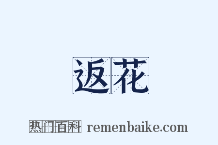 返花是什么意思的图片